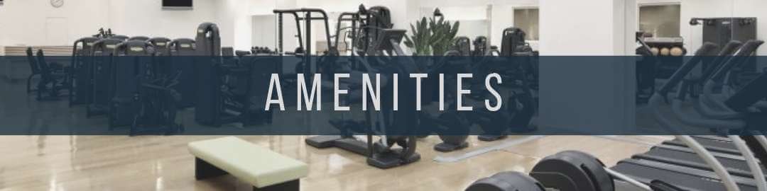 SMDC Joy Residences Amenities